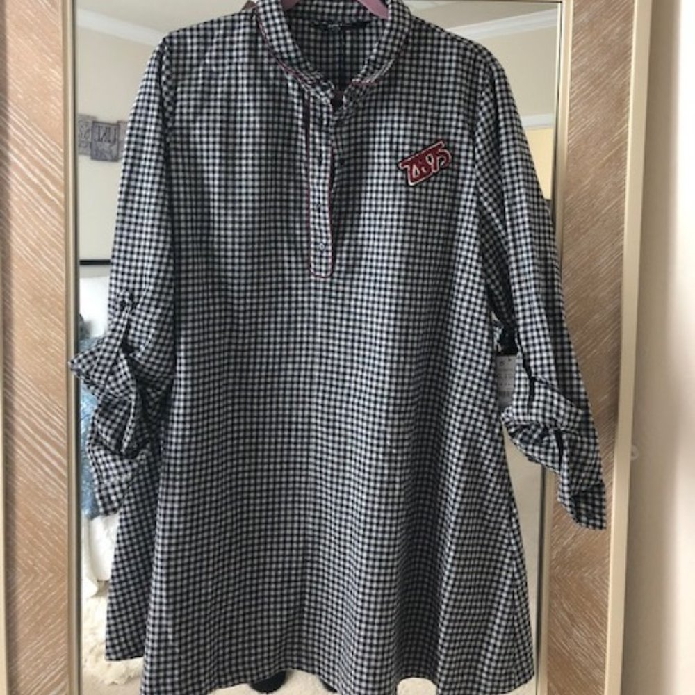 Zara Plaid Shirt Dress